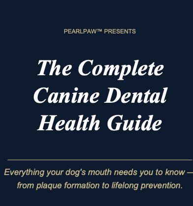 Pearlpaw dental powder jar 2