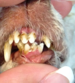 Before