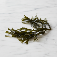 Natural kelp